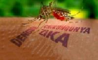Cách phòng bệnh virus Zika